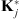 $ {\mathbf{K}}_j^{\mathrm{*}}$