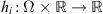 $ {h}_i:\Omega \times \mathbb{R}\to \mathbb{R}$