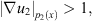$ {\left|\nabla {u}_2\right|}_{{p}_2(x)}>1,$
