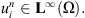 $ {u}_i^n\in {\mathbf{L}}^{\mathrm{\infty }}(\mathrm{\Omega }).$