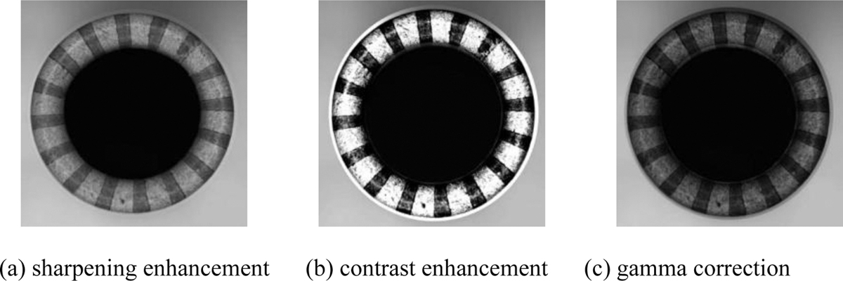 Fig. 5 Refer to the following caption and surrounding text.