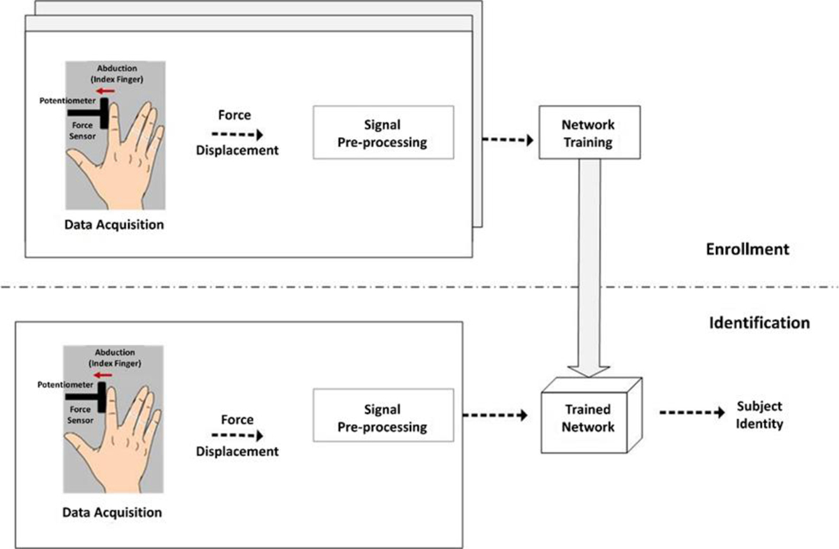 Fig. 1 Refer to the following caption and surrounding text.