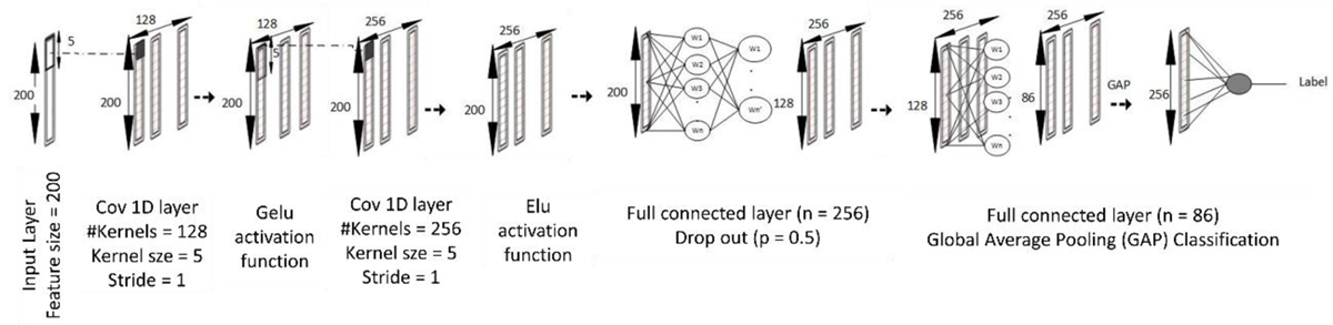 Fig. 2 Refer to the following caption and surrounding text.